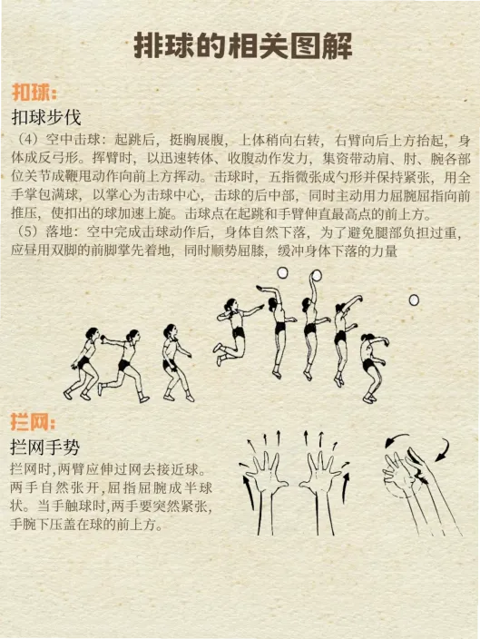 排球打手出界技术 示意图