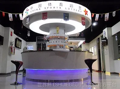FIFA 中国平台介绍